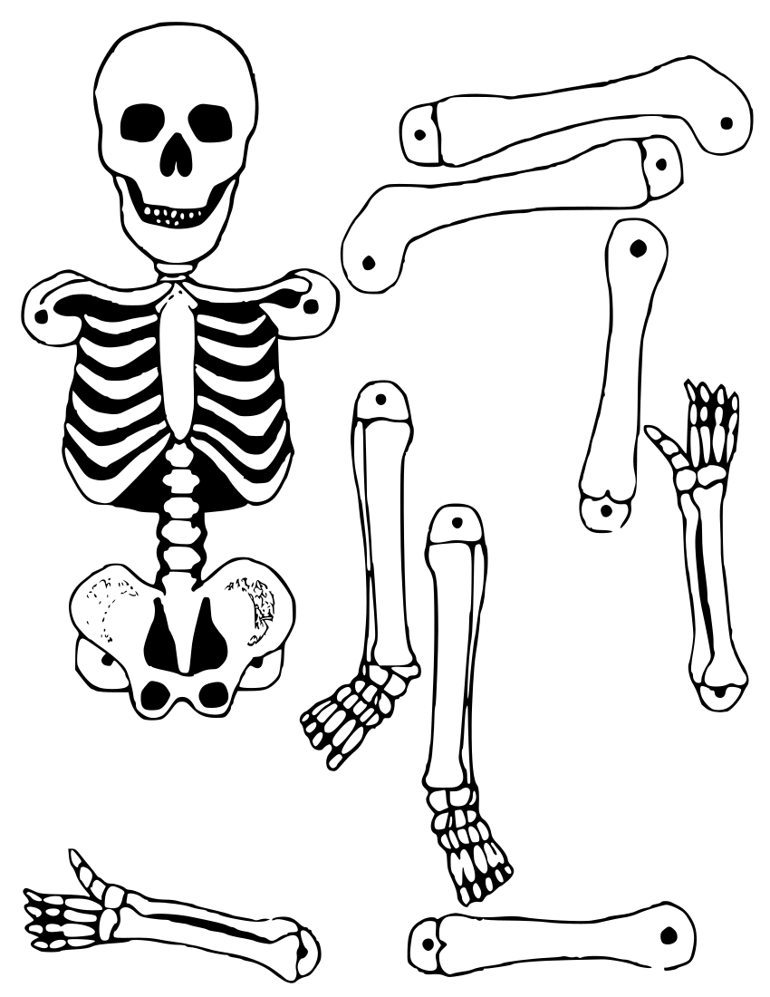 skeleton cutout