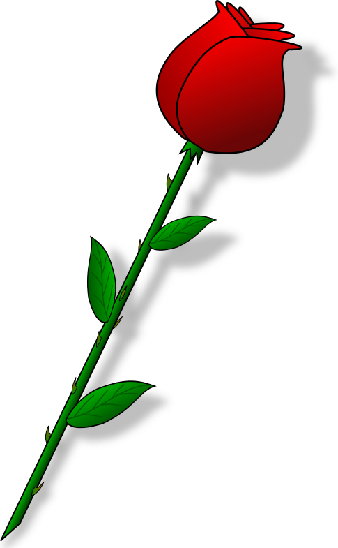 clipart rose buds - photo #22