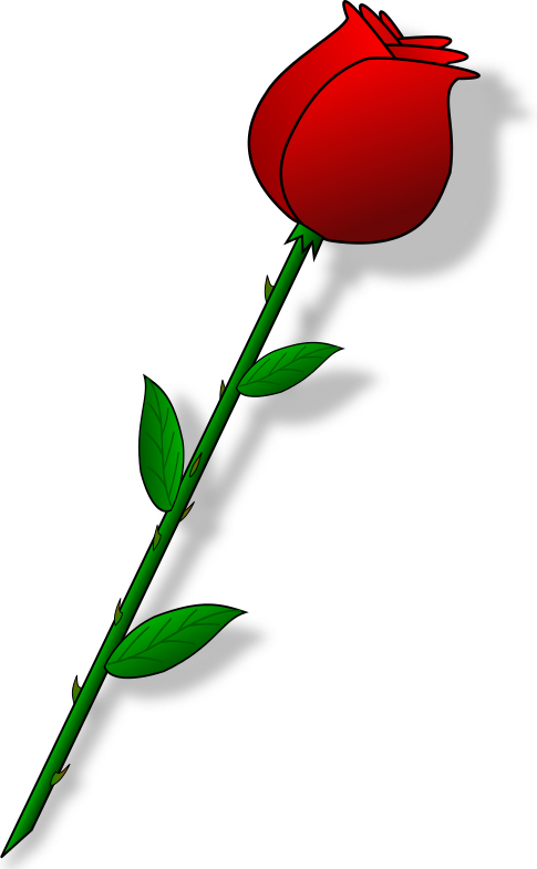 clipart red rose bud - photo #10