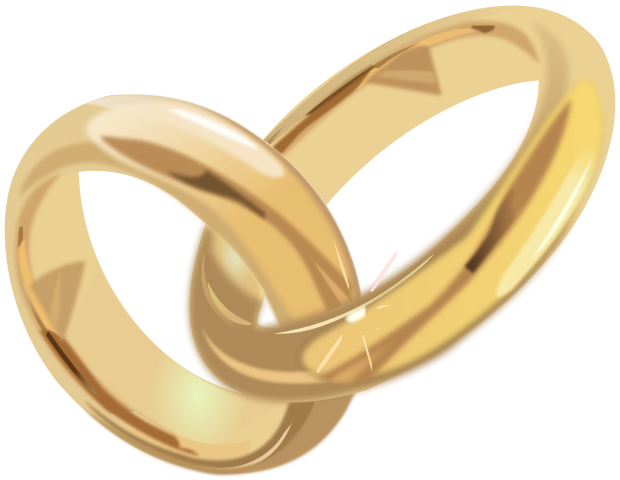 Shiny wedding rings