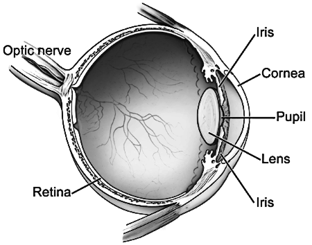 eye diagram. eye diagram