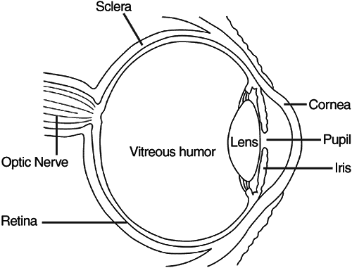 eye diagram labeled. eye diagram 2