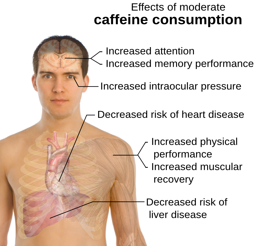 caffeine moderate consumption