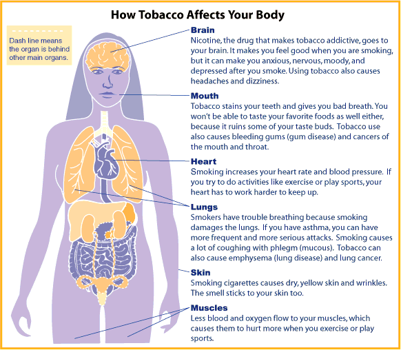 smoking effects on body. Information on Smoking