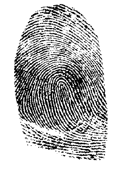 fingerprint 2