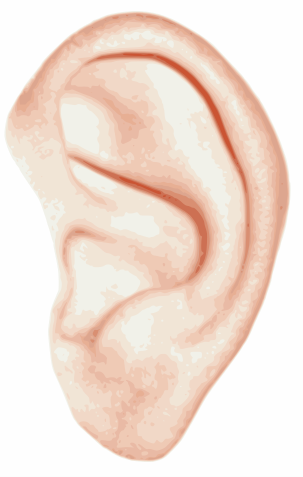 clip art ear. human ear