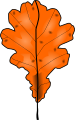 fall oak leaf