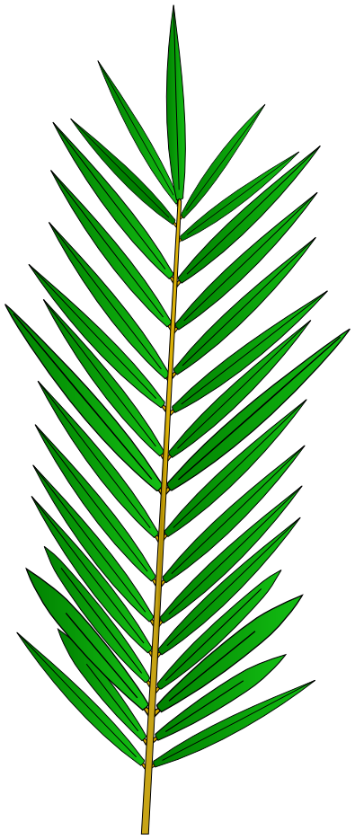 palm leaf clipart - photo #47