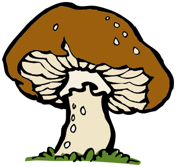 big_mushroom.png