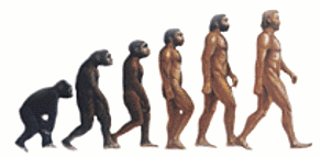 ape man evolution