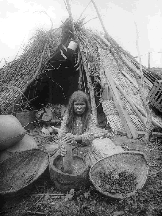 Paiute indian woman grinding acorns