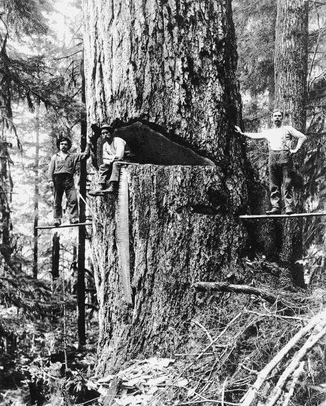 Lumberjacks 1918
