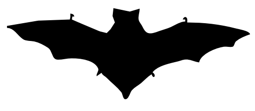 bat contour