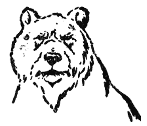 Bear face lineart