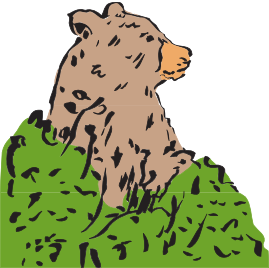 Bear in a Bush
