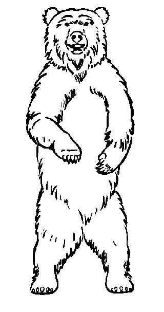 bear 4