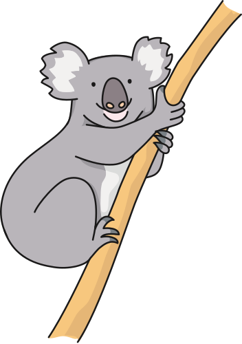 koala-on-branch-clip