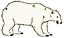 polar_bear/