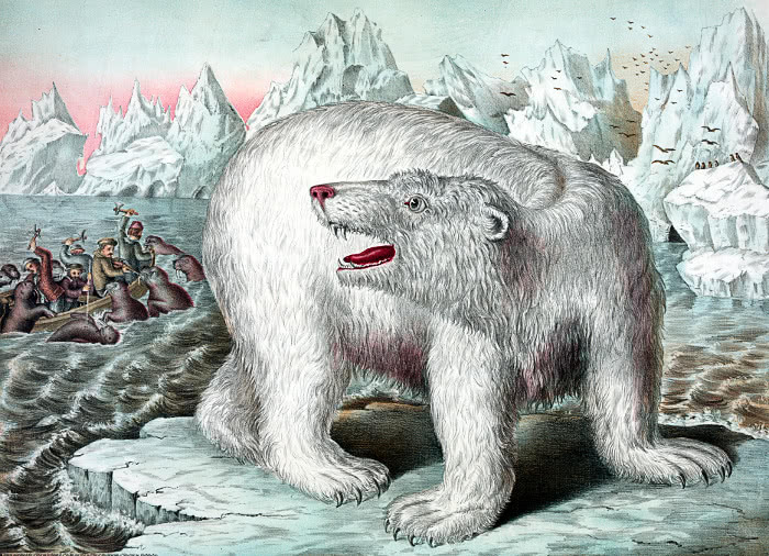 polar bear vintage