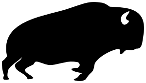 bison-profile