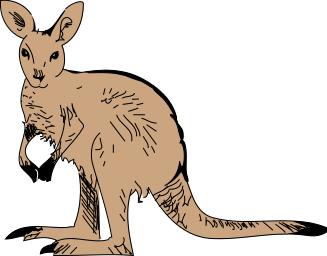 kangaroo basic