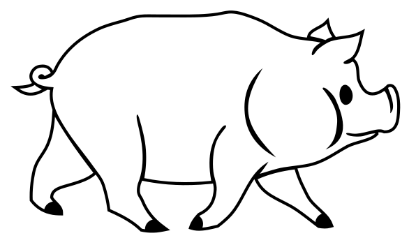 pig-outline