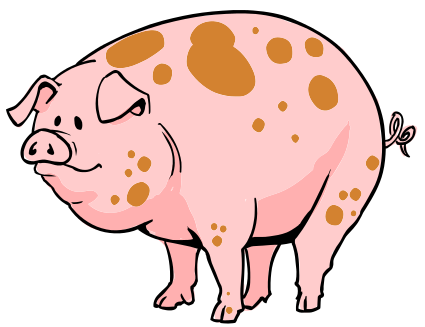 pig with spots cartoon