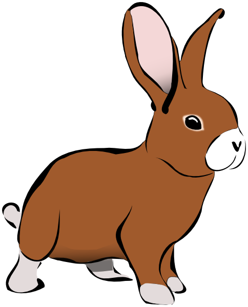 bunny-brown