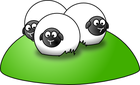 sheep/