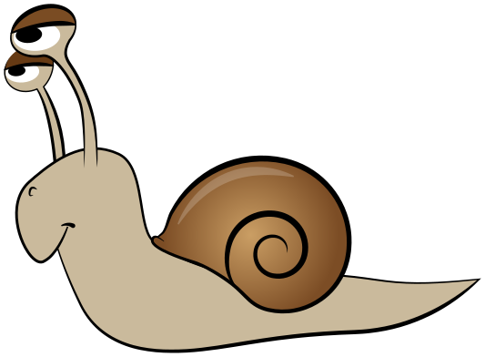 snail 11