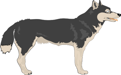 wolf profile