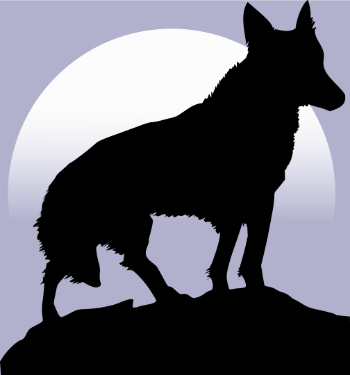 wolf silhoette moon background