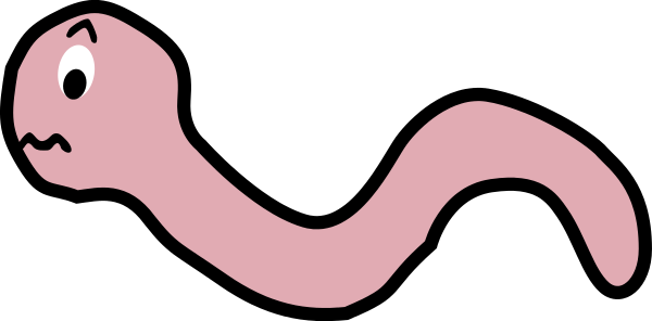 earthworm nervous