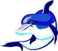 Dolphin 22