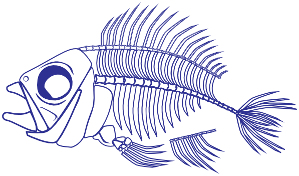 fish skeleton 2