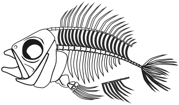 fish skeleton 2 BW