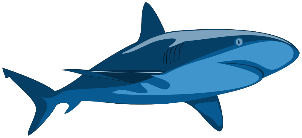 Shark blue vector