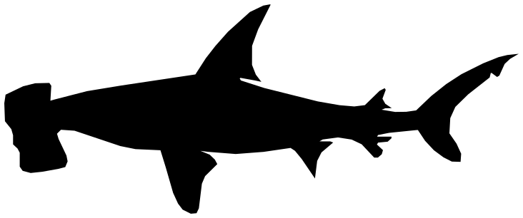 Hammerhead-shark-silhouette