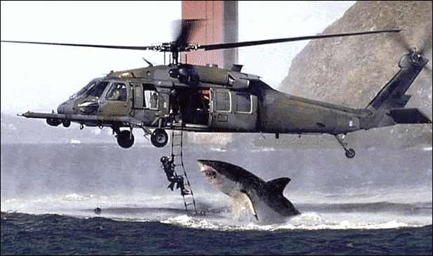 Shark attacks helicopter