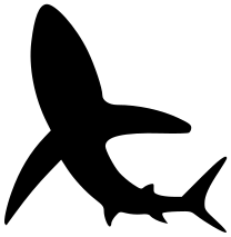 shark silhouette 4