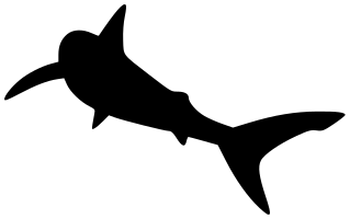shark silhouette 8
