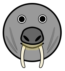 walrus icon