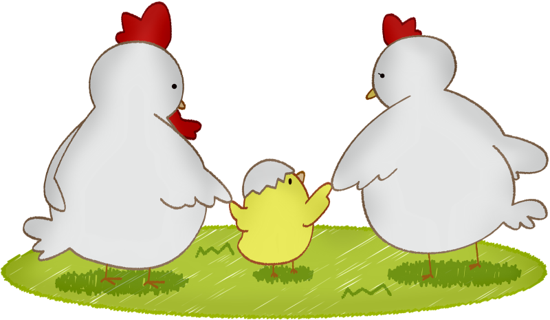 chicken-family