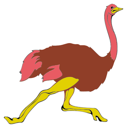 ostrich-running