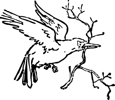 bird carrying a branch