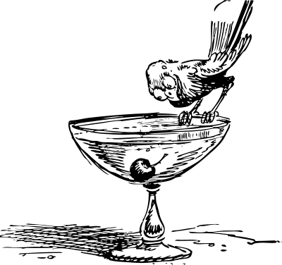 bird eyeing cocktail cherry