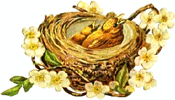 two-yellow-birds-nest