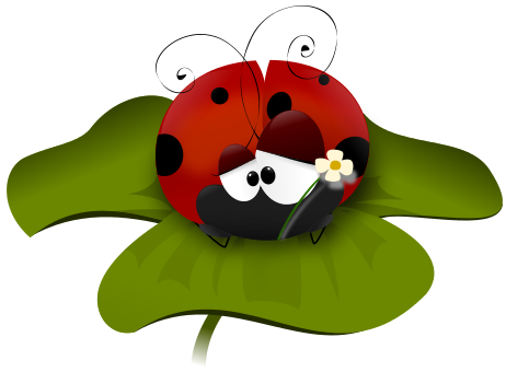 distressed ladybug