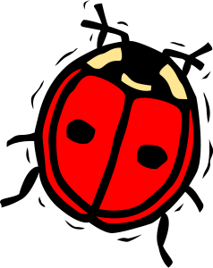 ladybug red