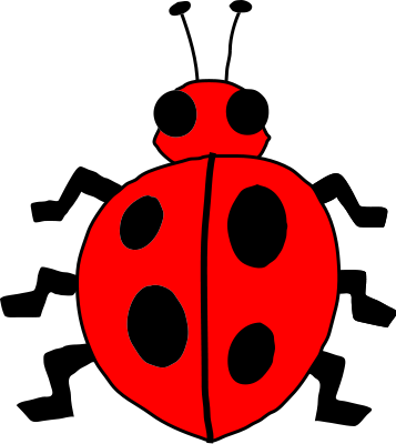 ladybug red black